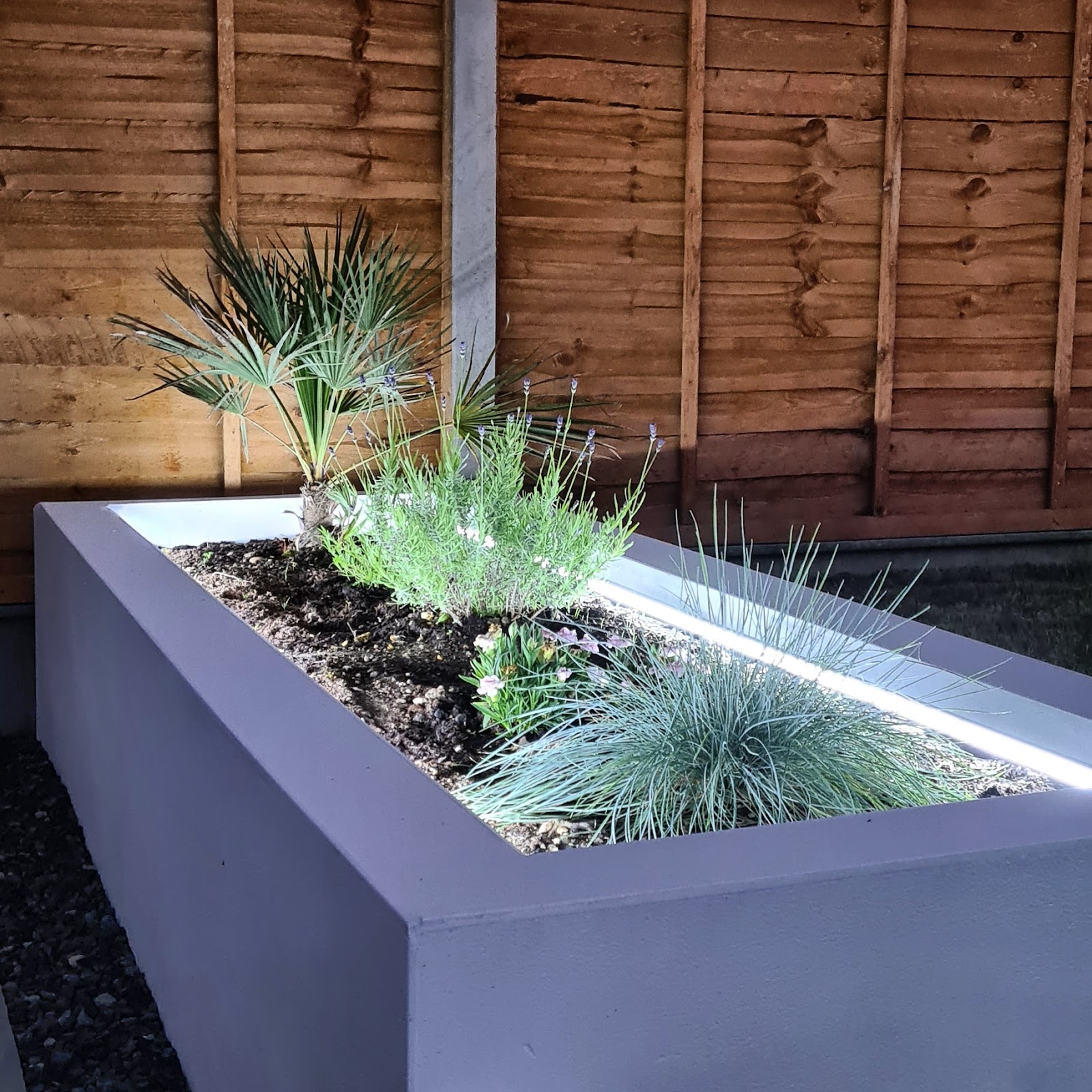 Integrated LED strip run along a rendered garden planter — low-level accent lighting for the evenings.